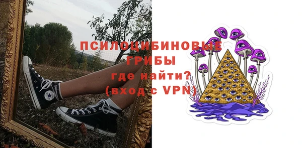 прущая мука Нея