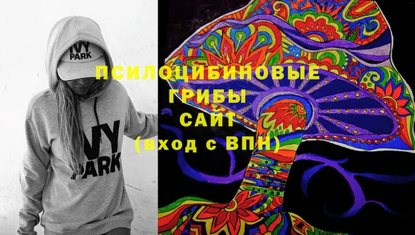 ECSTASY Абаза