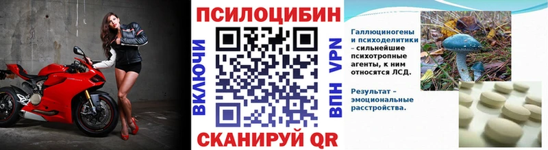 Псилоцибиновые грибы мухоморы  KRAKEN   Краснозаводск  где купить наркотик 